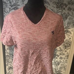 Express Men's Heathered Rose V-Neck Tee with Embroidered Logo